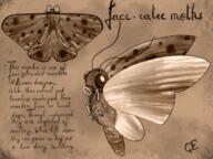 artist:qthebird bestiary bird_view brown_background caption face-eater_moth flying insect monochrome moth sharp_teeth simple_background spoiler:book7 spoiler:volume5 tail text wing // 2048x1536 // 4.9MB // rating:Safe