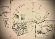 artist:cortz bone character:oc front_view goblin meta:inntober meta:inntober_2020 monochrome notepad sharp_teeth side_view simple_background skull spoiler:book1 tongue_out // 3199x2284 // 1.6MB // rating:Safe