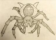 artist:TheBlondeOwl front_view insect meta:inntober meta:inntober_2023 meta:tagme pencil_art prompt26 prompt_undead shield_spider spider spoiler:book1 undead white_background // 2567x1819 // 573.2KB // rating:Safe