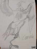 artist:ceramicsae caption character:oc front_view garuda looking_up monochrome simple_background solo text topless white_background // 950x1266 // 554.4KB // rating:Safe