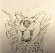 artist:TheBlondeOwl character:mrsha druid gnoll grass grin head_only looking_up magic meta:inntober meta:inntober_2023 monchrome pencil_art plant prompt3 prompt_magic sharp_teeth simple_background spoiler:book8 spoiler:volume5 text white_background // 1927x1870 // 369.5KB // rating:Safe